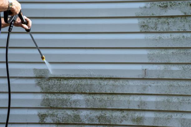 Best Siding Removal and Disposal  in Los Osos, CA
