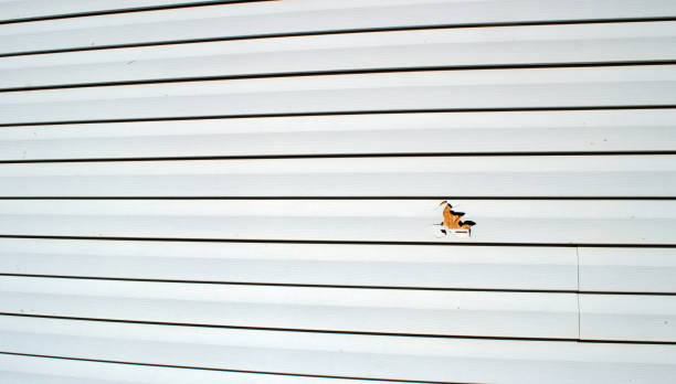 Best Weatherproofing and Sealing  in Los Osos, CA