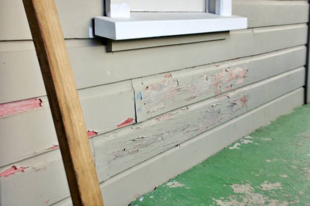Affordable siding repair and maintenance services in Los Osos, CA
