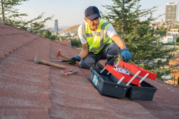 Best Stone Veneer Siding  in Los Osos, CA